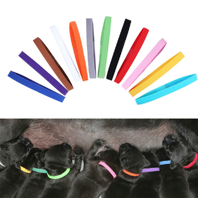 12 colours ID Collars Whelping Newborn Puppy and Kitten ID Collar Bands For Breeders - L