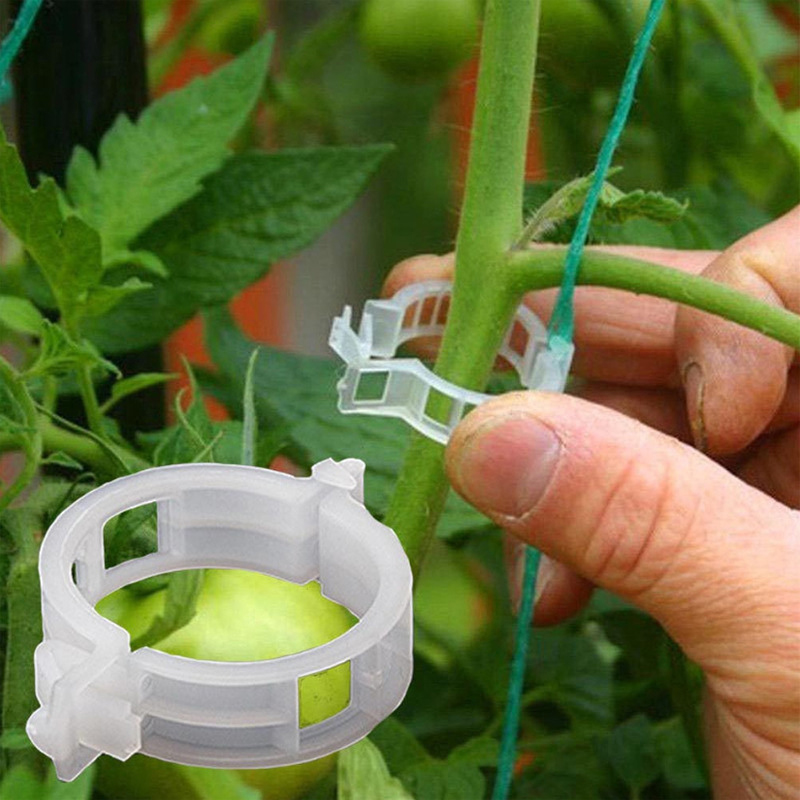 50 pcs Tomato and Veggie Garden Plant Support Clips