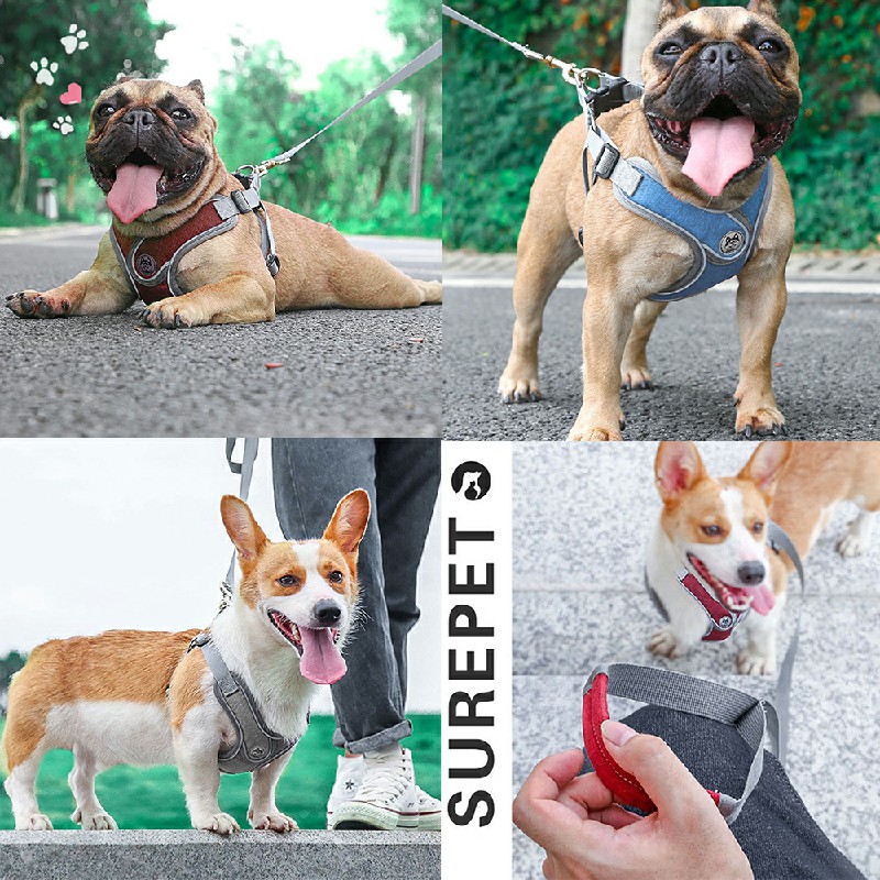 Adjustable and Breathable Dog Pet Harness Vest Padded Safety Puppy Leash Set - Red L