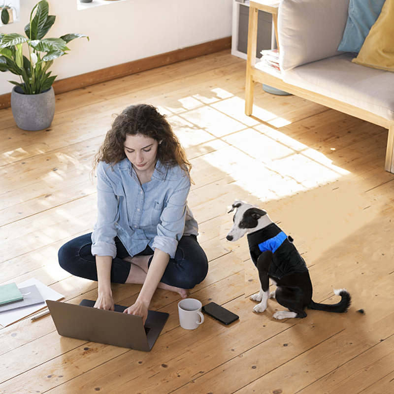 Comfy Soft Dog Vest Jacket Winter Waterproof Padded Pet Clothes Warm Vest Coat Size L - Blue