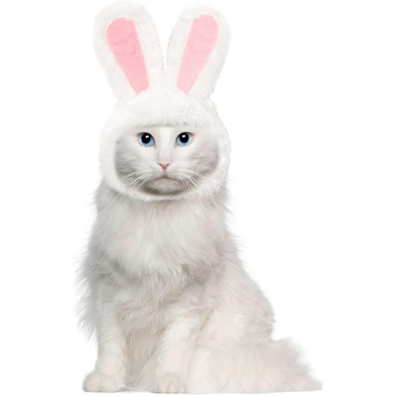 Cute Costume Bunny Rabbit Hat with Ears for Cats and Small Dogs Party Costume Easter Pet Accessory Headwear
