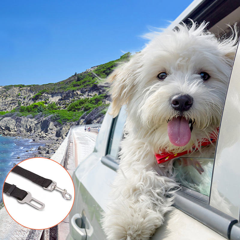 Dog Car Seat Cover Heavy Duty 600D Waterproof Pet Mat Rear Back Seat Hammock - Black + Orange