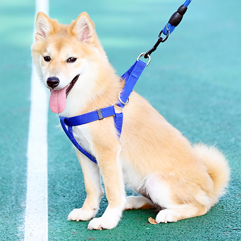 Dog Harness Heavy Duty Nylon Pet Dog Halter Vests for Small Medium Dogs Easy Walking Training Random Colours