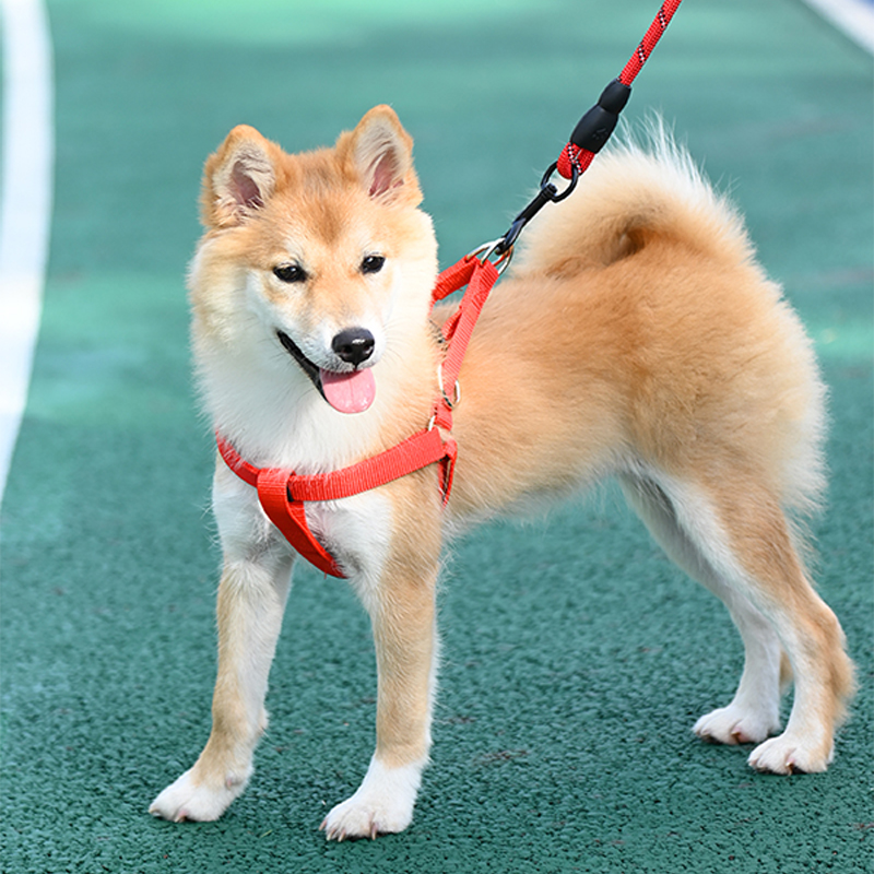 Dog Harness Heavy Duty Nylon Pet Dog Halter Vests for Small Medium Dogs Easy Walking Training Random Colours