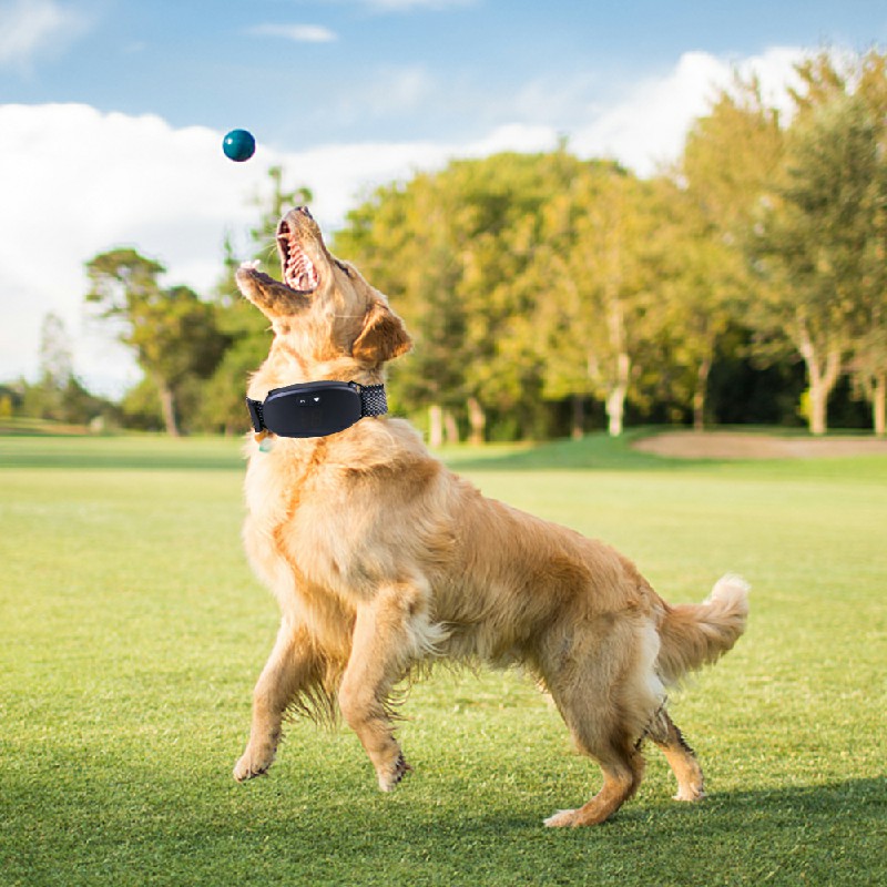 Dog Pet Training Collar Rechargeable Waterproof Electric Shock Anti Bark Collar - Black