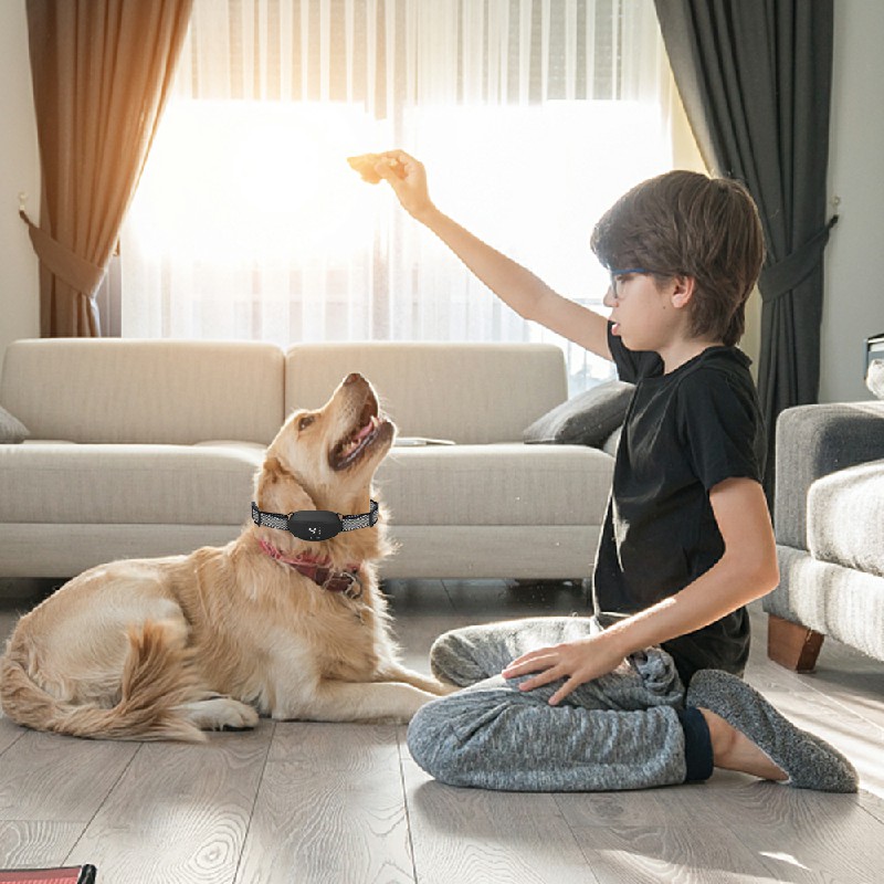 Dog Pet Training Collar Rechargeable Waterproof Electric Shock Anti Bark Collar - Black