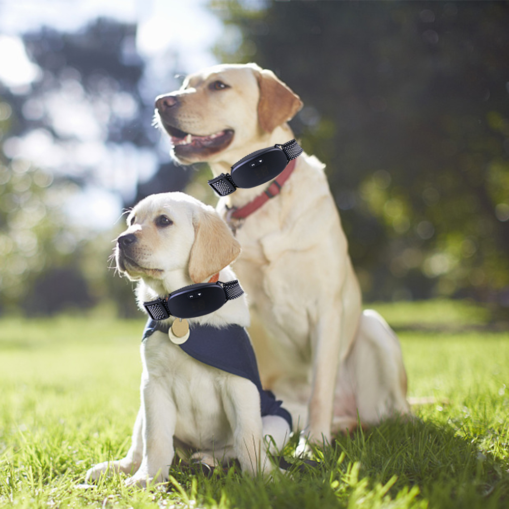 Dog Pet Training Collar Rechargeable Waterproof Electric Shock Anti Bark Collar - Black