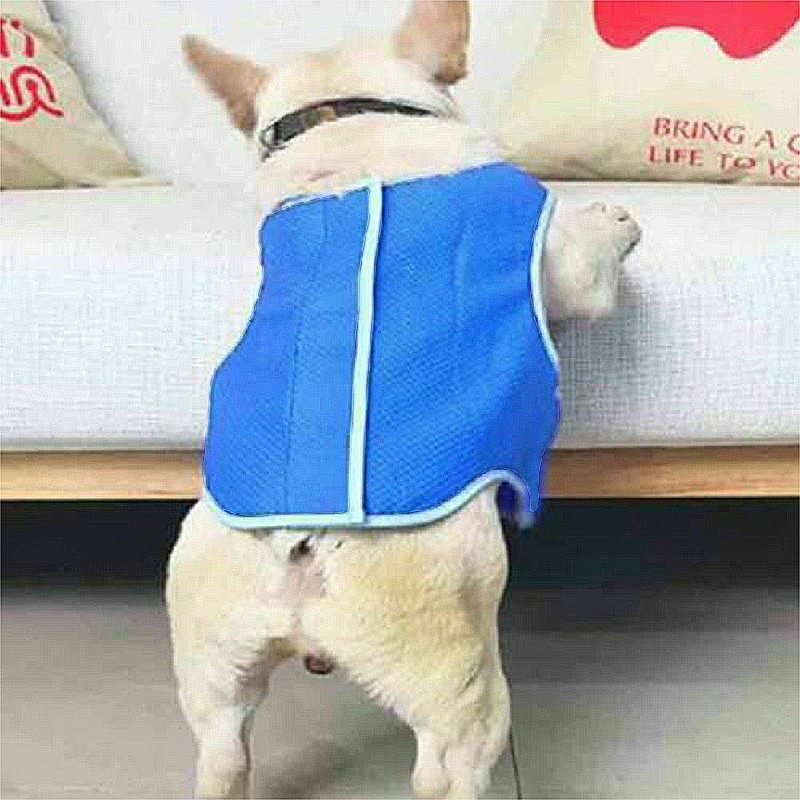 Dog Puppy Comfortable Reusable Cooling Vest Jacket for Summer Outdoor - L