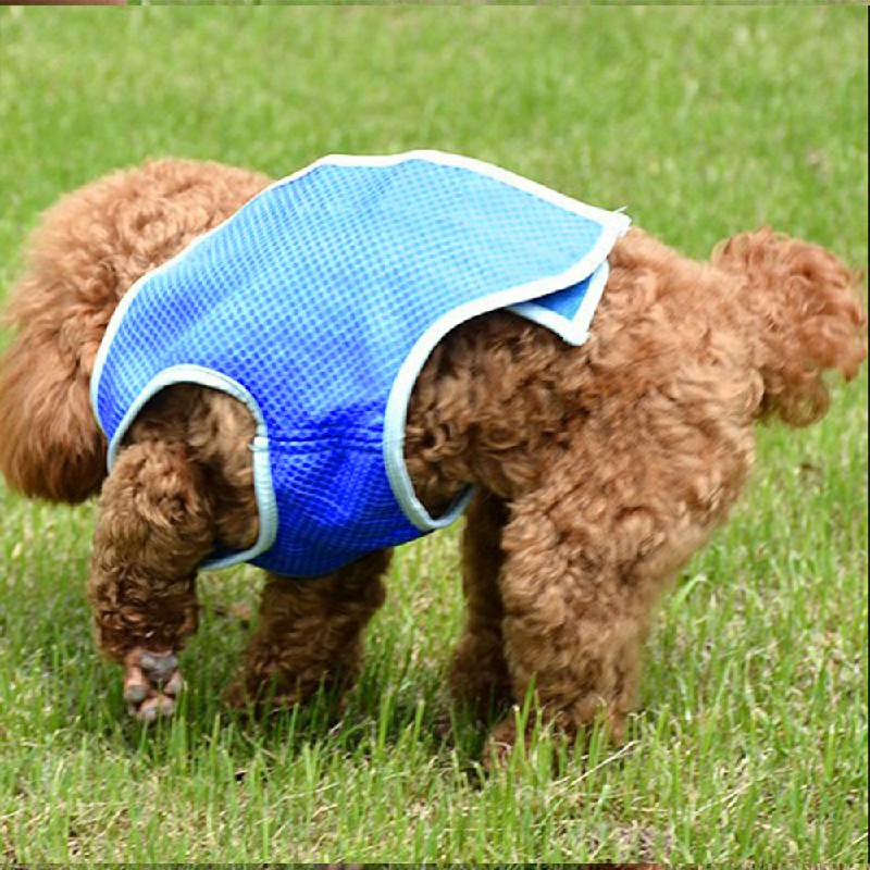 Dog Puppy Comfortable Reusable Cooling Vest Jacket for Summer Outdoor - L