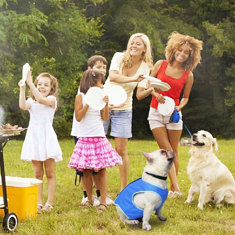 Dog Puppy Comfortable Reusable Cooling Vest Jacket for Summer Outdoor - L