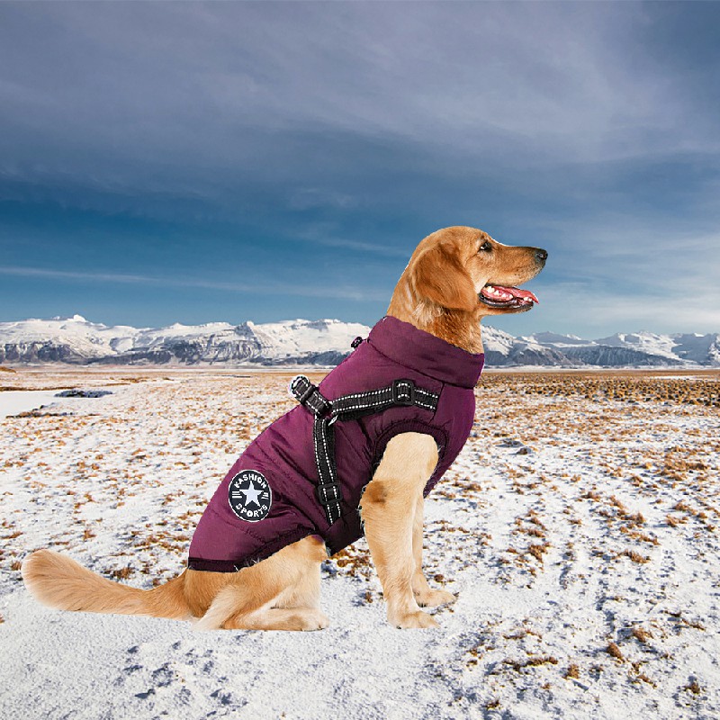 Pet Clothes Autumn Winter Warm Padded Coat Reflective Dog Vest Puppy Jacket with Harness - Purple 4XL