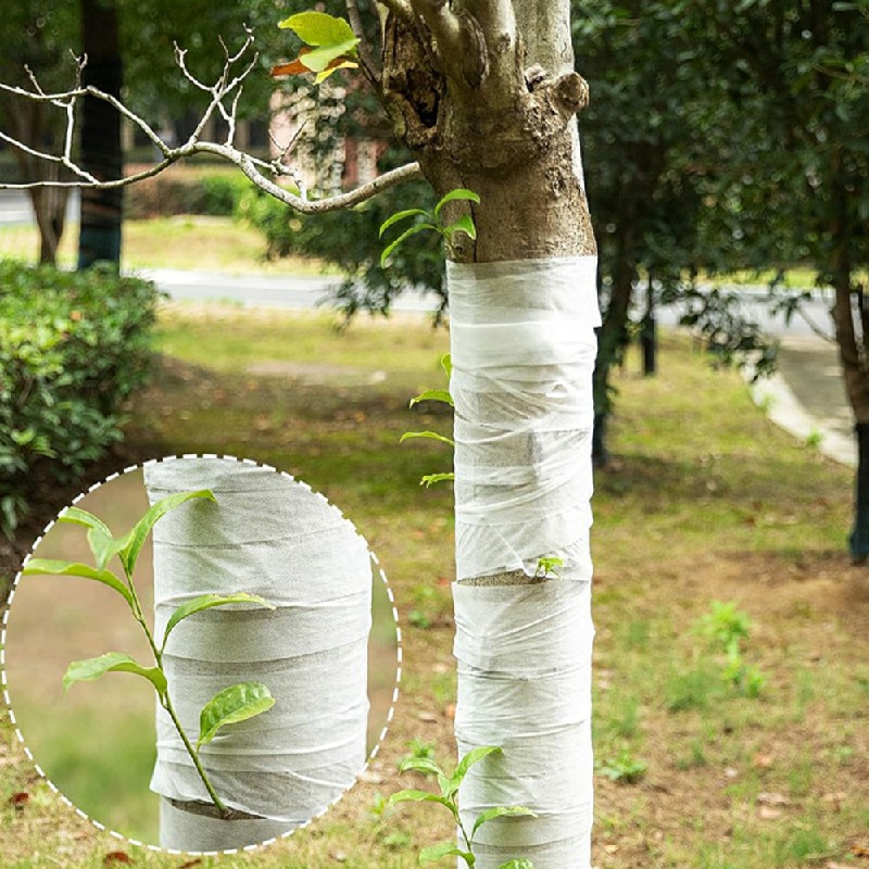 100m Tree Protector Wraps Antifreeze Tree Wraps Cold-Proof Tree Trunk Wrap for Winter 8cm x 100m