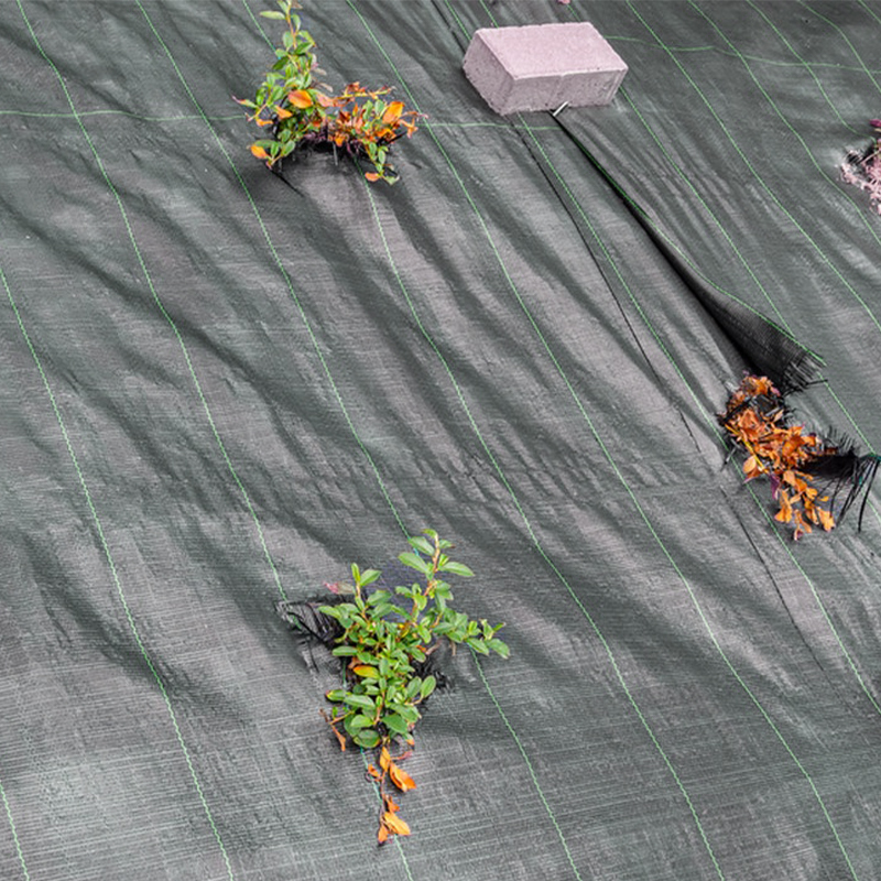 Weed Control Fabric Membrane Heavy Duty 100GSM - 10m x 2m