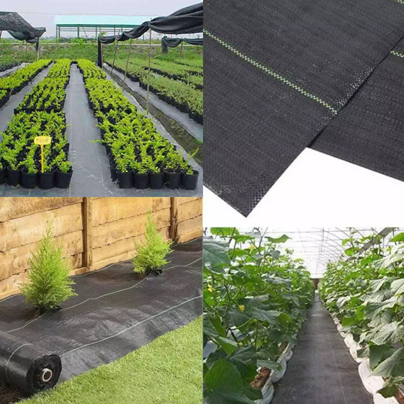 Weed Control Fabric Membrane Heavy Duty 100GSM - 10m x 2m